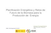 Planificación Energética y Retos de Futuro de la Biomasa ... · Planificación Energética y Retos de Futuro de la Biomasa para la Producción de Energía IDAE, 18 de Septiembre