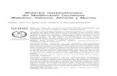 Biofacies marginolitorales del Mediterráneo Occidental ...ibdigital.uib.cat/greenstone/collect/bolletiHistoriaNatural/index/... · gena" y el Marjal de Oliva-Pego (Valen cia-Alicante)