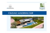 Ciudad Maderas Sur...200 empresas de proveduría, 40 de suministro directo Inicio de obra: 2017 Inicio de producción: 2019 Parques Industriales Colinas de Apaseo - Lintel ...