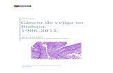 Cáncer de vejiga en Bizkaia. 1986-2012. · cánceres de vejiga. La distribución por sexos de éstos tumores malignos es la siguiente: 6961 (85%) se han diagnosticado en hombres,