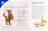 Los gatos y la nutrición son la clave para la salud y la · Los gatos y la nutrición Gatos y las personas llevan compartiendo su habitat (y probablemente su alimento) al menos 12.000