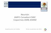 Reunión AMFE CanadideviCMIC Coparmex AMB …Subdirección de Crédito 29 de noviembre de 2011 ORDEN DEL DÍA 1. Vivienda sustentable 2. Vinculación de las Unidades de Valuación