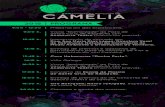 flyer camelia programacion 2018 · 2018. 10. 18. · 2018 11:00 h. Visita “teatralizada” ao Pazo de Santa Cruz de Ribadulla con Andaravía Teatro (Inscrición previa). 12:45 h.