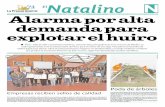 ElNatalino N - La Prensa Austral · Alarma por alta demanda para explotar el huiro miércoles 18 de mayo de 2016 / Nº 1.754 PodaOdeOárboles Los cipreses de la Plaza de Armas Arturo