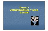 Tema 1: VISIÓN NORMAL Y BAJA VISIÓN · Tema 1: VISIÓN NORMAL Y BAJA VISIÓN. EL CONTINUO DE LA VISIÓN VISIÓN PERFECTA AUSENCIA TOTAL DE VISIÓN. EL CONTINUO DE LA VISIÓN ¿Dónde