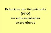 Prácticas de Veterinaria (PFO) en universidades extranjerasdcii.usal.edu.ar/archivos/dcii/imagenes/presentacion... · 2019. 10. 18. · 1- Asignaturas prácticas: Períodos de estancia