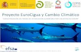 Proyecto EuroCigua y Cambio Climático| COP25 Madrid, 2019 · 2019. 12. 5. · Proyecto EuroCigua y Cambio Climático| COP25 Madrid, 2019 Actualmente, CFP es el tipo de intoxicación