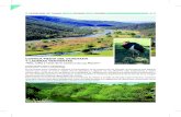 rios cuenca media guadiana - Castilla-La Manchaagricultura.jccm.es/inap/archivos/guadiana_lic_fich.pdfdel Guadiana, así como materiales sedimentarios de sus típicas rañas , y derrubios