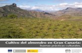Cultivo del almendro en Gran Canaria - …medianias.org/actividades/Gf31Cdj1bTMtB6eJ.pdfCULTIVO DEL ALMENDRO EN GRAN CANARIA: BUENAS PRÁCTICAS CULTURALES 7 El paisaje de las Cumbres