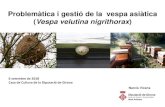 Problemàtica i gestió de la vespa asiàtica Vespa velutina … · • País Basc: Manual para la gestión del avispón asiático (2016). • Catalunya: Protool d’atuaions que