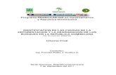Programa REDDCCAD/GIZ en Centroamérica y …...2005/09/11  · Informe Final P. OvallesPágina 2 de 85 Síntesis La expansión histórica de la frontera agrícola ha sido la causante