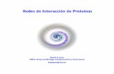 Redes de Interacción de Proteínas · 2013. 4. 10. · Las proteinas ... tienen estructura Kim et al. Science 2006. Esquema Introducción Datos Experimentales Datos Computacionales