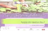 Monitoreo del desarrollo de la planta del alllodón, con ...bibliotecadigital.agronet.gov.co/bitstream/11348/6797/1/157.pdf · Boletín Divulgativo No. 2 Bogotá, D.C., Diciembre