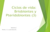 Ciclos de vida: Briobiontes y Pteridobiontes (3)botanica-1.yolasite.com/resources/Briobiontes y...Ciclos de vida: Briobiontes y Pteridobiontes (3) Botánica I Profra.: E. Lucía Pavón