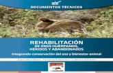 REHABILITACIÓN · 2018. 11. 1. · El oso pardo (Ursus arctos) es el animal más emblemático de las montañas del norte de España. Tras pasar varias décadas al mismo borde de