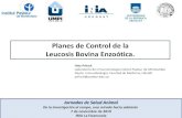 Planes de Control de la Leucosis Bovina Enzoótica.ºblicos/INIA La Estanzuela... · 2019. 11. 14. · La Leucosis Bovina es endémica en bovinos lecheros en Uruguay. • 1°reporte: