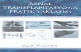 Prof. Dr. Levent Çelik, Meme Radyolojisi, Mamografi, …...Batin ultrasonografisi nativ böbrekle ilgili bu dešižiklik ve komplikasyonlar aqsmdan da aydlnlatlcldlr. 4. Alt üriner