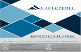 brochure - CIED PERÚŸ Desarrollar un ambiente de trabajo adecuado para el logro de los objevos y metas del Sistema de Gesón Integrado, asegurando una permanente mejora de las competencias
