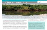 CaMbIO ClIMátICO - Carlos Slim · 2018. 9. 22. · El cambio climático es un tema transversal y prioritario en el que la Alianza WWF-Fundación Carlos Slim trabaja junto con los