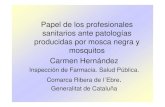 Papel de los profesionales sanitarios ante patologías producidas por mosca negra y ...htv-gestion.com/wp-content/uploads/2016/05/insecticidas... · 2. Aplicar en zonas descubiertas