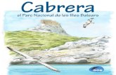 Cabrera · 2018. 5. 3. · fer-los malbé. Per això algunes activitats estan prohibides, i altres necessiten d’autorització. A Espanya hi ha 14 parcs nacionals, dels quals l’arxipèlag