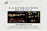 LA EVOLUCIÓN HUMANAkokemj.webcindario.com/biogeo1bach/atapuerca.pdf · EL MUSEO DE LA EVOLUCIÓN El Museo de la Evolución Humana se ubica en el centro de Burgos, en un edificio