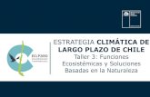Presentación de PowerPoint€¦ · Meta LP: Carbono neutralidad y resiliencia al 2050. Institucionaliza acción climática: facultades, obligaciones y responsabilidades de cada órgano