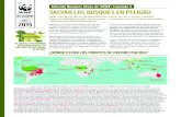 Informe Bosques Vivos de WWF: Capítulo 5 SALVAR LOS ... · Chocó-Darién: El bosque húmedo del Chocó-Darién se ... de flora y fauna silvestre del mundo, en particular un gran