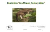 Yvan Monos Selva Vida pour nous - Deforestation · 2009. 12. 7. · Fundación Los Monos, Selva y Vida Yvan Bouvier et Véronique Grand Contact en France : Casilla 16-01-730 Association