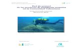 Red de control de las praderas de Posidonia oceanica en la ......Memoria Voluntariado Litoral 2010 Red de Control de las praderas de Posidonia oceanicaINDICE Página 1. Resumen 3 2.