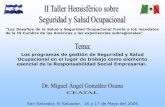 Los programas de gestión de Seguridad y Salud Ocupacional en el …rialnet.org/sites/default/files/Dr Gonzales CEATAL ESP.pdf · 2019. 10. 18. · Los programas de gestión de Seguridad