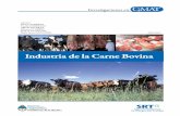 Industria de la Carne Bovina - argentina.gob.ar · Rotación 72 Ritmo de trabajo 73 Trabajadores 75 Organización de los ... decreto 351/79, normas del SENASA y otras conexas. Respecto