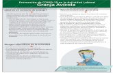 Prevención de COVID-19 en la Actividad Laboral Granja Avícolase.puebla.gob.mx/images/files/Granja_Avicolas.pdf · 2020. 6. 12. · o˜cina con creación de turnos o roles Limpia