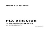 PLA DIRECTOR - Ajuntament de Barcelona...principals establerts al Pla local de prevenció i seguretat 2016-2019: proximitat, territori i transparència; per altre costat, de l'exposició