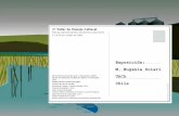 Exposición: M. Eugenia Solari UACh Chile · 1.-La alternancia de bosques templados de la ecoregiónvaldiviana con tierras despejadas, mas bien de mosaicos (sensu Lara et al), categoría