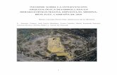 INFORME SOBRE LA INTERVENCIÓN ARQUEOLÓGICA …heracleopolismagna.com/wp-content/uploads/2019/01/Inform... · 2019. 1. 13. · 1º.- Excavar los restos conservados del Pilono de
