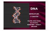 ESTRUCTURA Y FUNCIÓN - WordPress.com · 2016. 1. 17. · científicos sobre el DNA: 1.- Watson y Crick (sobre estructura del DNA) 2.- Wilkins, Stokes y Wilson (acidos nucleicos formados