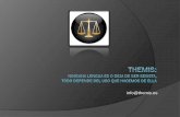 info@themis³n_Themis.pdf · 2010. 5. 10. · El proyecto Themis tiene como intención la evolución de su diccionario El equipo lingüístico de Themis revisa constantemente incluye