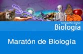 Maratón de BiologíaCatabolismo Reacciones de degradación. Oxidantes Liberan energía (ATP) Exergónicas Palabras clave: degradación, lisis… 2. Química en la biología 2.1 Reacciones