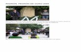 PADRÓN. PEDRÓN DE OURO 2009 · 2018. 3. 5. · PADRÓN. PEDRÓN DE OURO 2009 Mini e Mero e Mariana PloaeHanganu fan unha ofrenda floral a Rosalía de Castro, diante do monolito