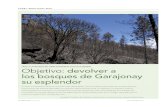 LIFE+ GARAJONAY VIVE · 2019. 3. 22. · emblemáticos: la laurisilva y el Parque Nacional de Garajonay. Seis años después se ha dado por concluido un plan de restauración ecológica