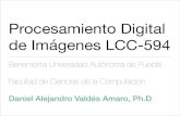 Procesamiento Digital de Imágenes LCC-594daniel.valdes/docs/PDI-4-Manejo... · 2016. 6. 21. · Procesamiento Digital de Imágenes LCC-594 Benemérita Universidad Autónoma de Puebla