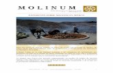 EXPOSICIÓN SOBRE MOLINOS EN MÉJICOmolinosacem.com/wp-content/uploads/2012/05/MOLINUM-N... · 2017. 3. 25. · Muchas, y la respuesta, salvo contadas excepciones, que no llegan a