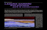 Ecosistemas LAGUNA GARZÓN - Uruguay Ciencia...Laguna Larga; se observa la caminería que interfiere en la hidrología natural Uruguay Ciencia Nº15 - Setiembre 2012 - 7 actual es