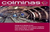 En el buen camino - ColminasEn el buen camino. 4 SUMARIO EDITA: Colegio Oficial de Ingenieros T cnicos de Minas del Principado de Asturias IMPRIME: GRçFICAS APEL D.L: AS/1883/2011