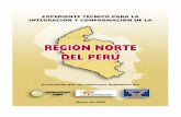 REGIÓN NORTE / Expediente Técnico · desarrollo regional compartida por la población, y los criterios y evaluación de la viabilidad territorial, económico-financiera, político-institucional