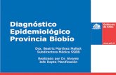 Diagnóstico Epidemiológico Provincia Biobío200.72.31.211/documentos/197/diagnostico.pdf · 2019. 12. 20. · Enfermedades Cerebrovaculares 110 59,6 12,4 Enfermedades Isquémicas