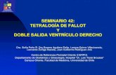 Tetralogía de Fallot y Doble Salida Ventrículo Derecho · 2011. 7. 27. · Tetralogy of Fallot in the fetus: findings at targeted sonography. Yoo SJ, Lee YH et al. Objetivo •
