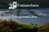 1 de septiembre, 2016...9,1 8,9 4,9 6,7 11,2 15,6 4,8 4,2 4,5 5,8 4,4 5,8 4,1 E 1T 2T 3T 4T Precio Salmón Atlántico Al alza por 6% disminución de oferta mundial (bloom en Chile,