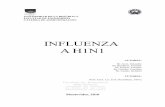 New INFLUENZA A H1N1 - BVS Enf · 2013. 12. 16. · superficie del virus (H y N). Entre los muchos subtipos de virus gripales A, en la actualidad están circulando en el ser humano